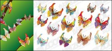 free vector 14 Butterfly vector material