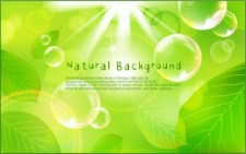 free vector Natural Green Background Vector