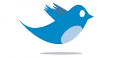 free vector Twitter bird logo