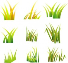 free vector Free Vector Grass