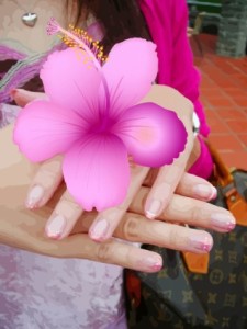free vector Pink Flower