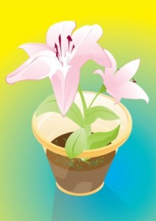 free vector Flowers Gift