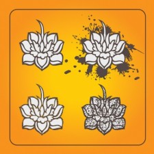 free vector Lotus Flowers