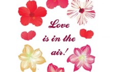 free vector Love is in the air! New free flower vectors