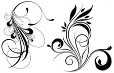 free vector Free floral vector