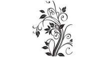 free vector Floral free vector
