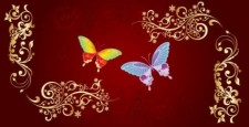 free vector Butterfly and flowers vector
