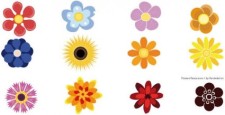 free vector Flower resources