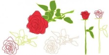 free vector Vector rose