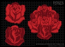 free vector Free Vector Roses