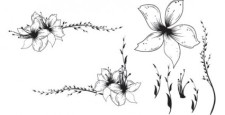 free vector Free Floral Clip art Vector