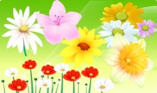 free vector Free Vector Flowers 06