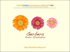 free vector 
								Gerbera							