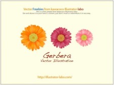free vector Gerbera