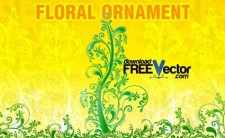 free vector Floral Ornament