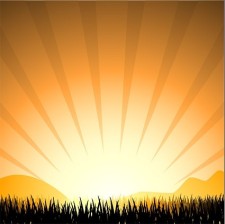 free vector Sunset radiation light elements such as grass vector silhouette