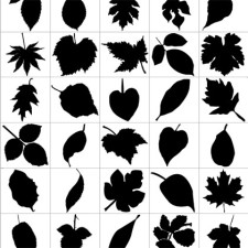 free vector Leaf Silhouettes   Free Vector Graphic