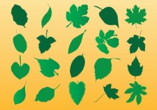 free vector Vector Leaf Silhouette Art