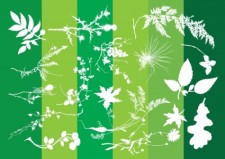 free vector Plants Silhouettes Nature Graphics