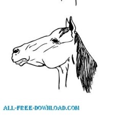 free vector Horses