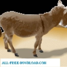 free vector Donkey