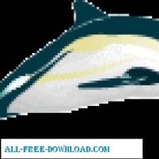 free vector Dolphin