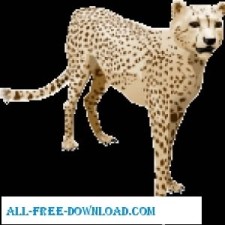 free vector Cheetah Vector