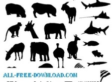 free vector Animal Vectors
