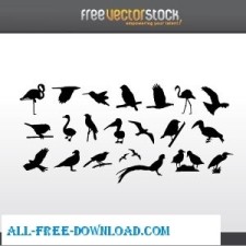 free vector Collection of Birds Silhouettes