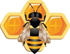 free vector 3d bee and honeycomb vector, bee ai, adobe illustrator bee vector, animal illustrator vector ai, 3d illustrator vector