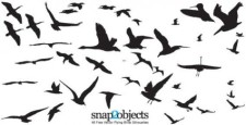 free vector 46  flying birds silhouettes