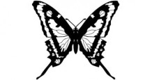 free vector Butterfly vector