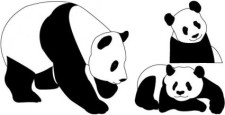free vector Panda bears
