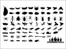 free vector 
								Insect Silhouettes.							