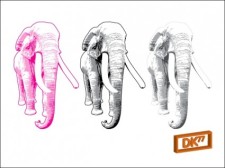 free vector 
								Elephant Illustration							