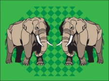 free vector 
								Elefante							