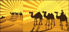 free vector Camel on desert