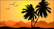 free vector Palm tree in sunset