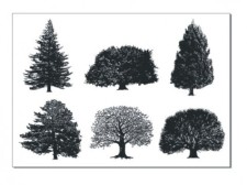 free vector A monochrome tree vector