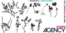 free vector Flowers vector
