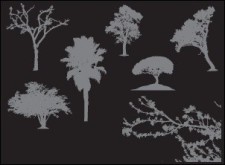 free vector 
								7 Tree Silhouettes							