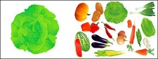 free vector Vector fruits and vegetables