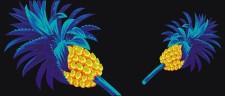 free vector Cool pineapple vector material