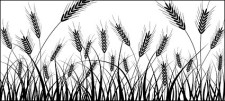 free vector Wheat silhouettes vector material