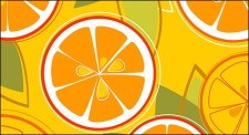 free vector Oranges combination of vector