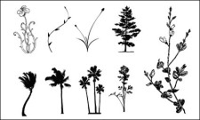 free vector Trees, flowers, rattan vector case material