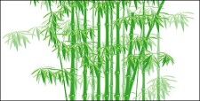 free vector The green bamboo vector material
