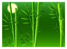 free vector Realistic bamboo vector
