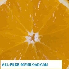 free vector Orange