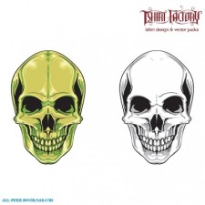 free vector 2 skulls